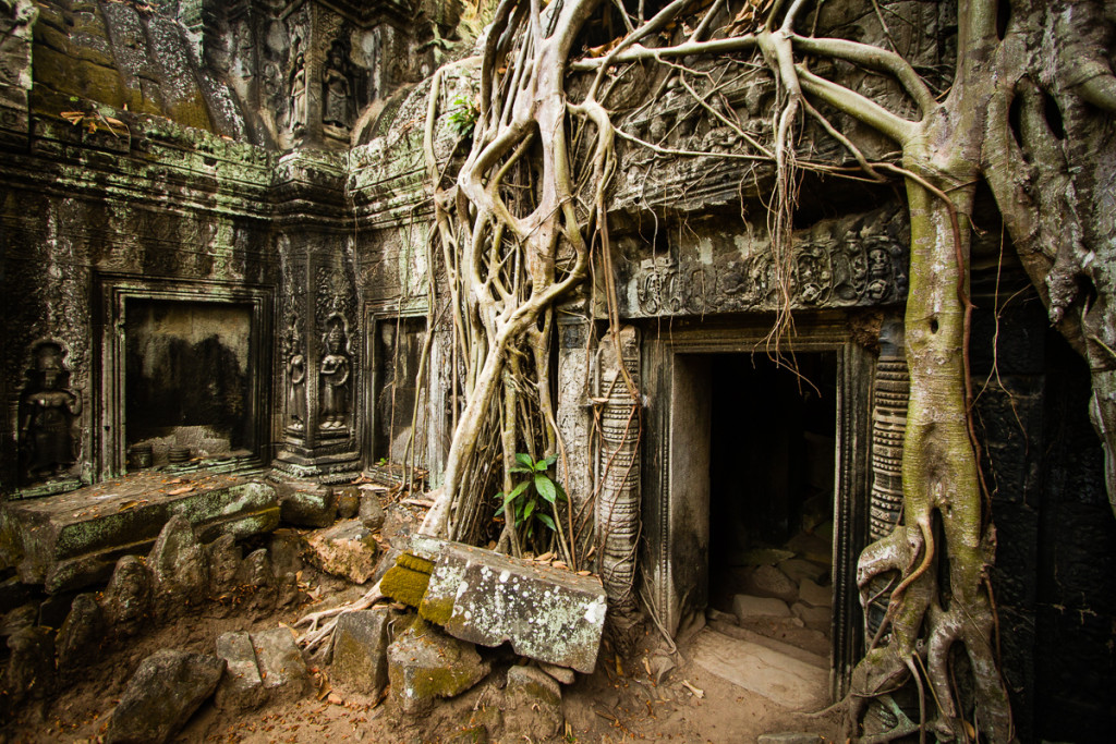 Wordless Wednesday | Ta Prohm Temple, Angkor, Cambodia