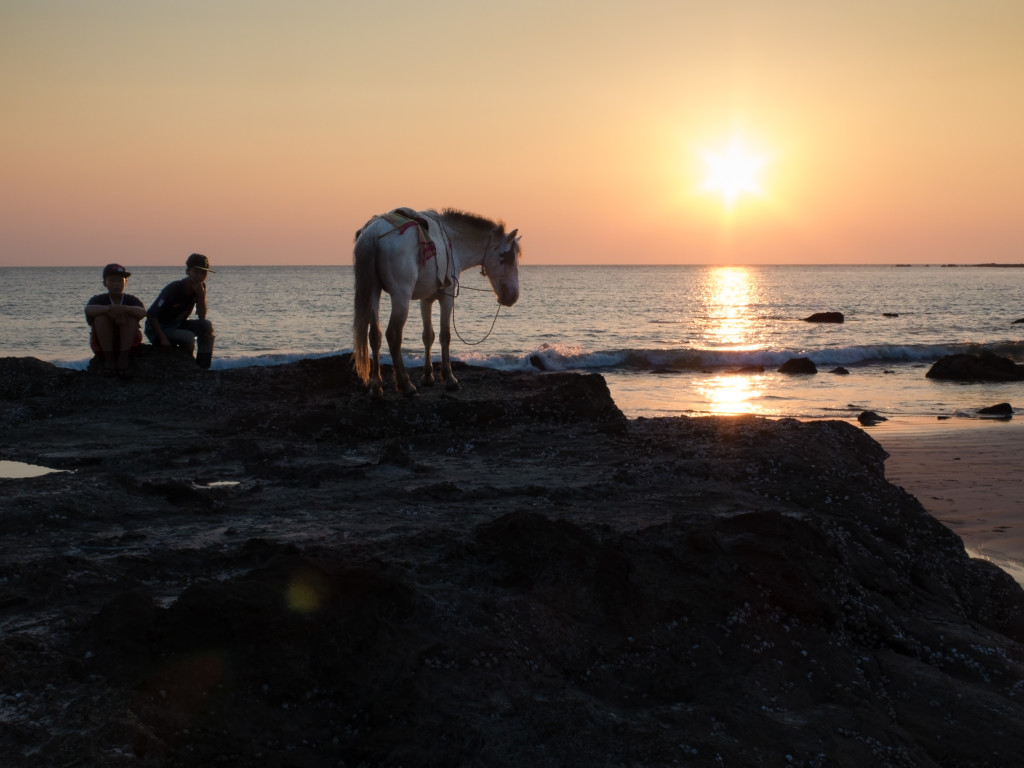 Photo: A Horse at Sunset on Ngapali Beach, Myanmar