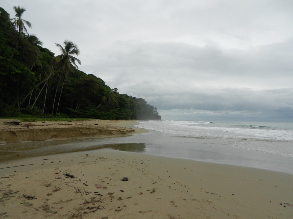 Beach in Cocles, 10 minute walk outside of Puerto Viejo