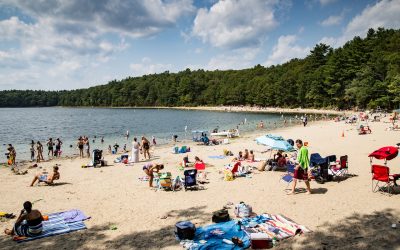 Henry David Thoreau’s Walden Pond Today