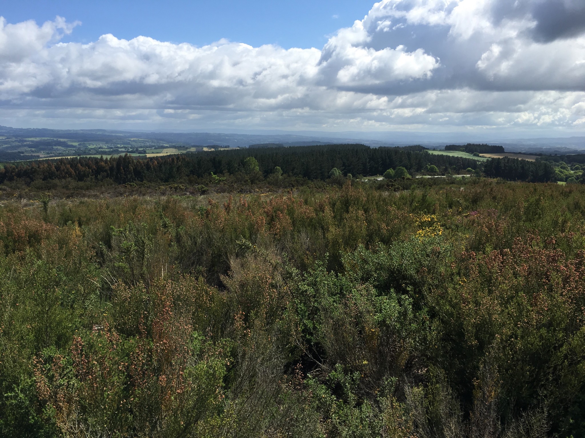 Camino de Santiago Blog: Day 27, Palas de Rei, Spain