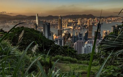 Photo: Hong Kong from Victoria Peak