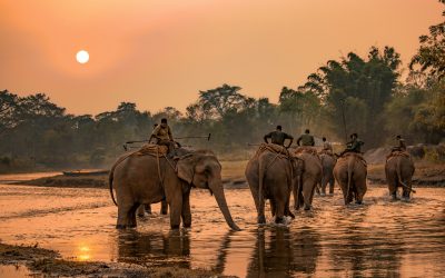 Photo: Elephant Polo Team in Nepal