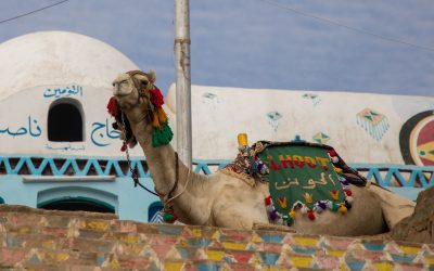 Nubian Village Visit in Egypt