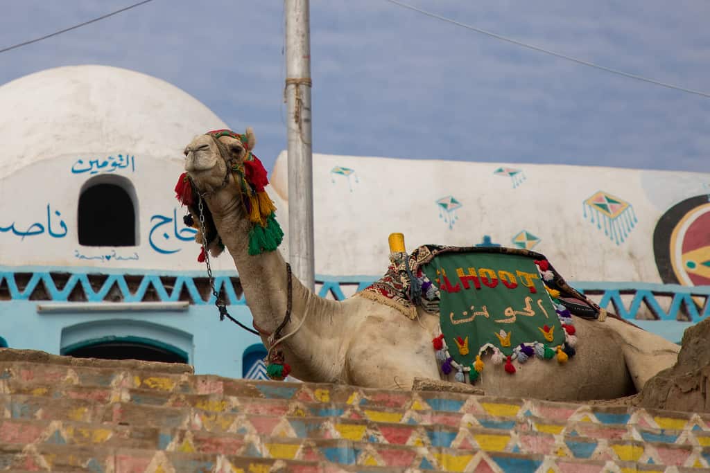 Nubian Village With On The Go Tours