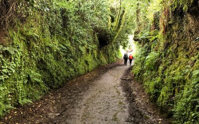 Camino de Santiago Blog: Day 30, Santiago de Compostela, Spain