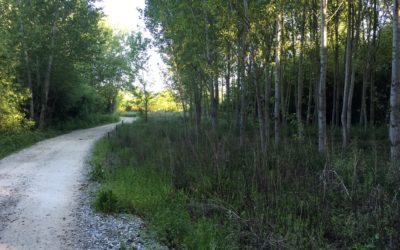 Camino de Santiago Blog: Day 23, Trabadelo, Spain
