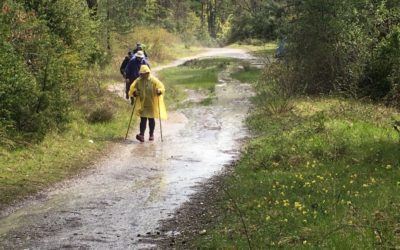 Camino de Santiago Blog: Day 5, Larrasoaña, Spain