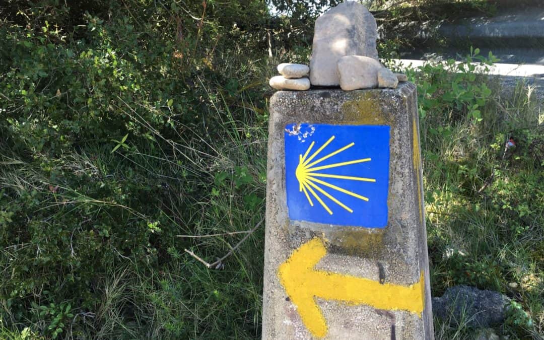 Camino de Santiago Blog: Day 8, Villatuerta, Spain