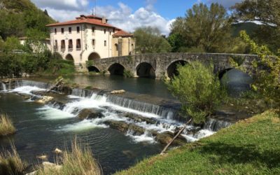 Camino de Santiago Blog: Day 6, Pamplona, Spain