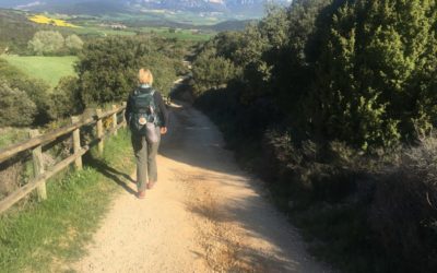 Camino de Santiago Blog: Day 9, Sansol, Spain