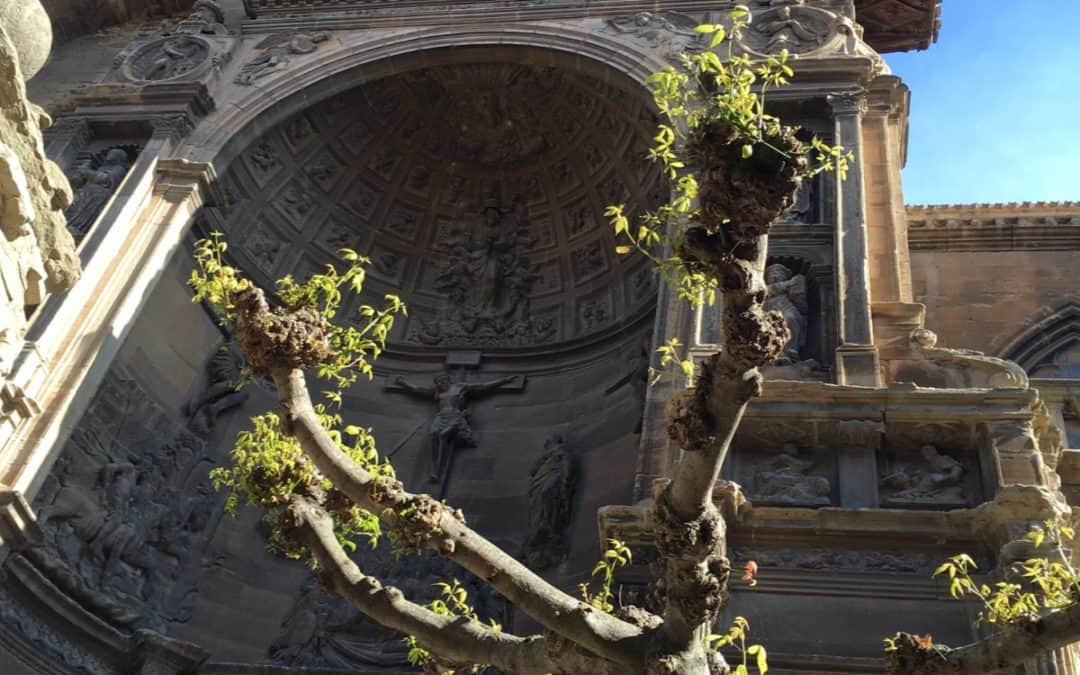 Camino de Santiago Blog: Day 10, Logroño, Spain