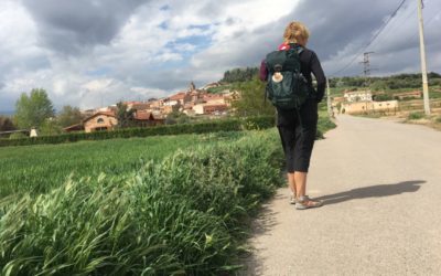 Camino de Santiago Blog: Day 11, Ventosa, Spain