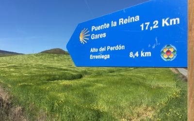 Video: 30 Days on the Camino de Santiago in One Minute