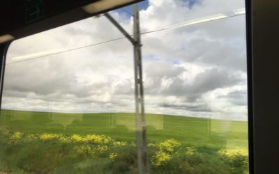 Camino de Santiago Blog: Day 16 – 17, Central Plateau Spain
