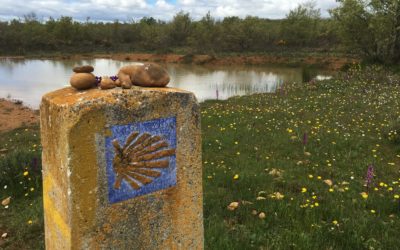 Camino de Santiago Blog: Day 18, Villar De Mazarife, Spain