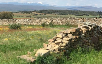 Camino de Santiago Blog: Day 20, Rabanal de Camino, Spain