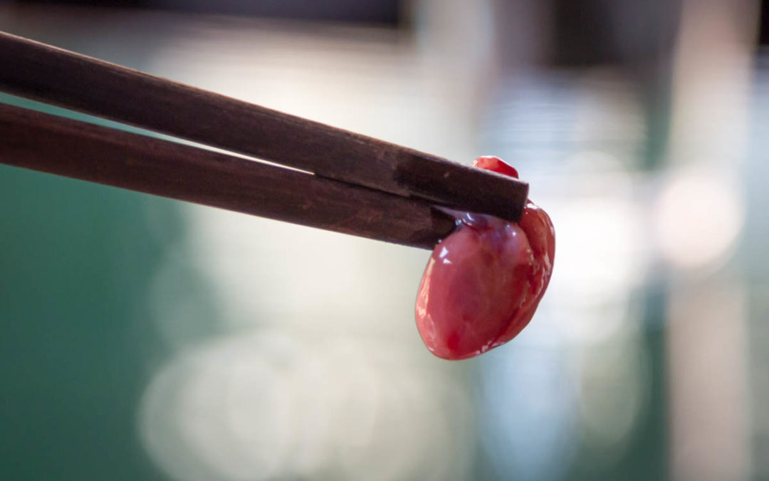 Eating a Beating Cobra Heart, Drinking Blood in Vietnam