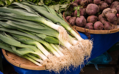 Vientiane Organic Market