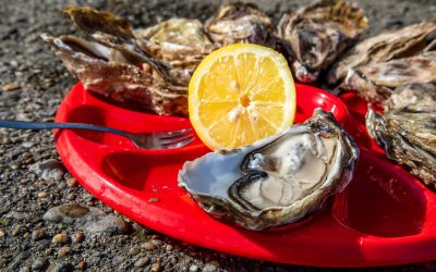 A Feast of Cancale Oysters in Brittany, France