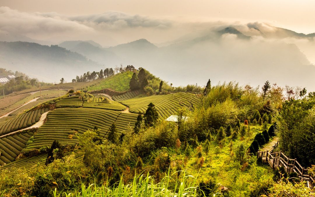 23 Beautiful Pictures of Taiwan That Will Make You Have to Visit
