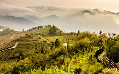 23 Beautiful Pictures of Taiwan That Will Make You Have to Visit