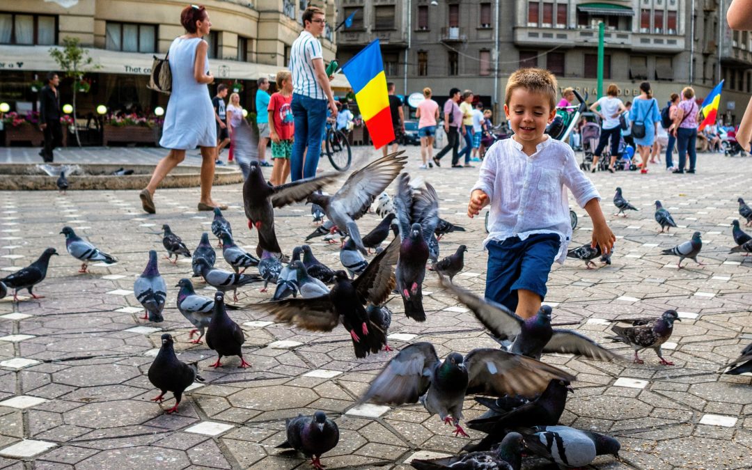 Cost to Live in Timisoara, One of the Cheapest Places to Live in Europe