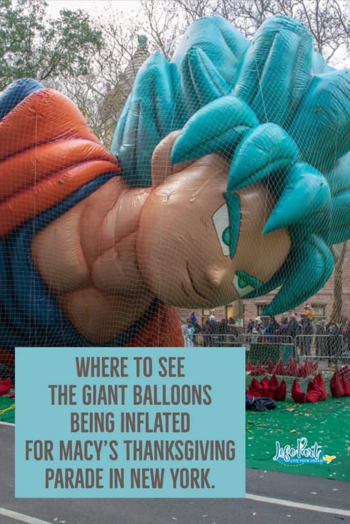 Macy's Parade Pinyerest
