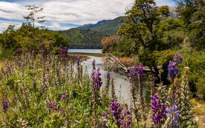 Argentina Lake District And The Route of the Seven Lakes