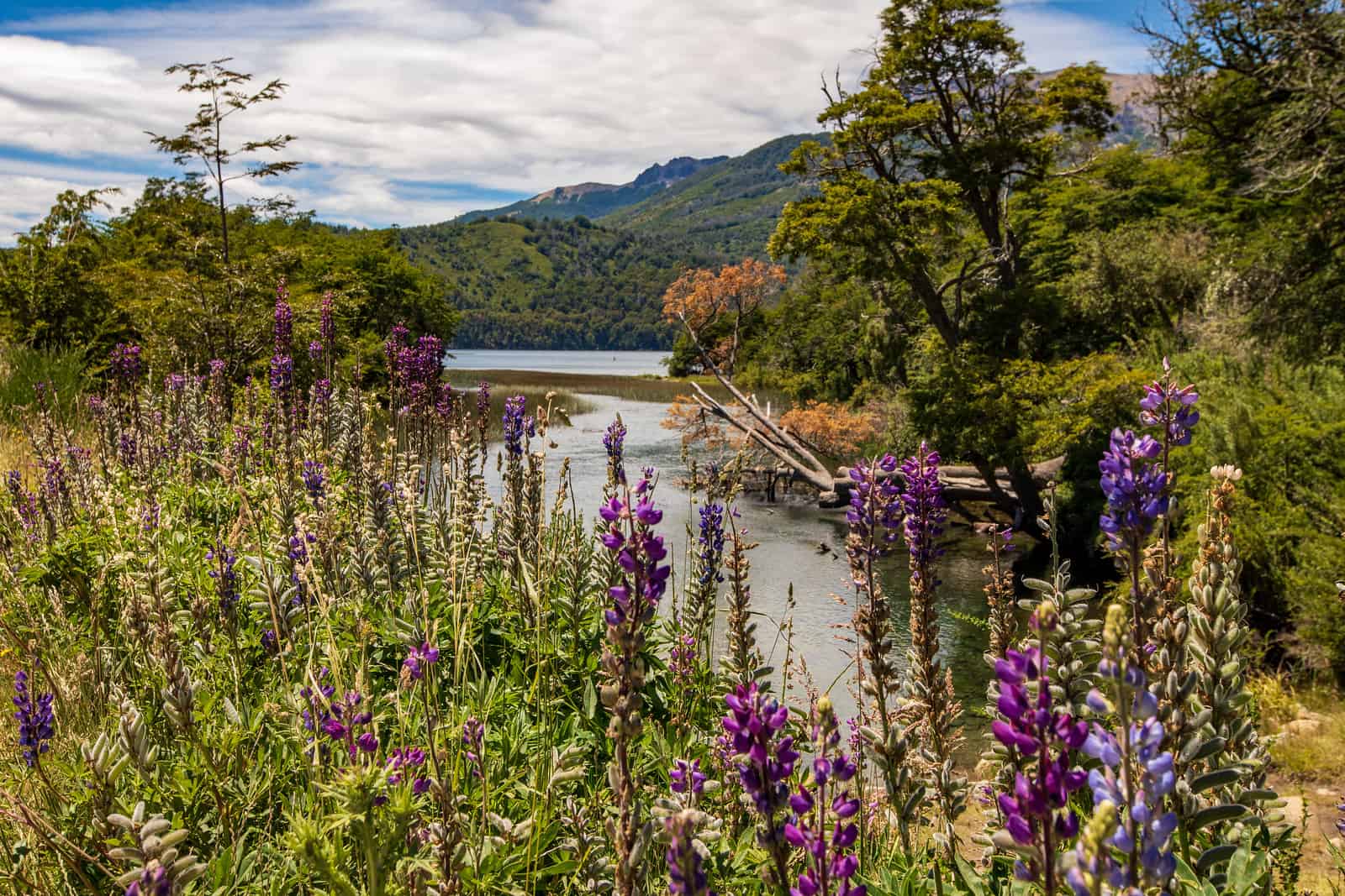 Argentina Lake District And The Route of the Seven Lakes Ruta de Los 7 Lagos