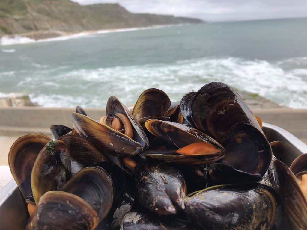 Mussels are a favorite food in POrtugal