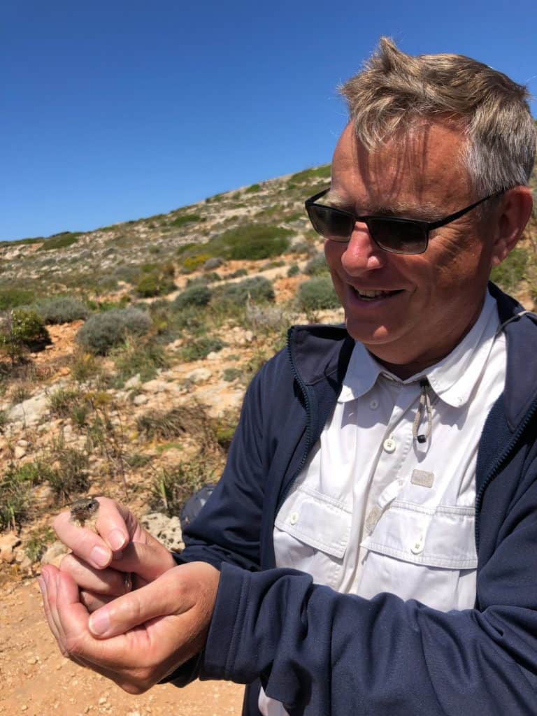 Conservation Bird Ringing On Comino Island