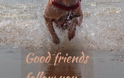 Travel With Friends Quotes