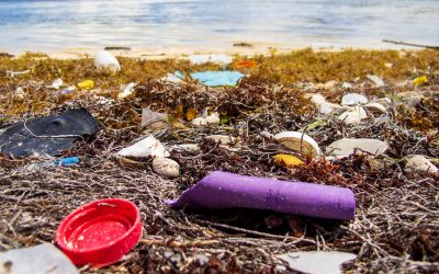 Is Your Vacation Ruining The Planet