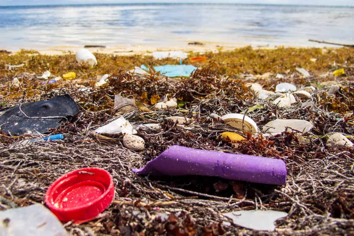 Plastic on a Beach in Mexio shows environmental impacts of tourism