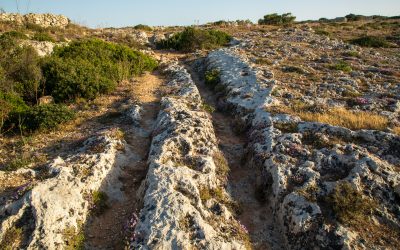 Malta Cart Ruts (Misrah Ghar il-Kbir – Clapham Junction)