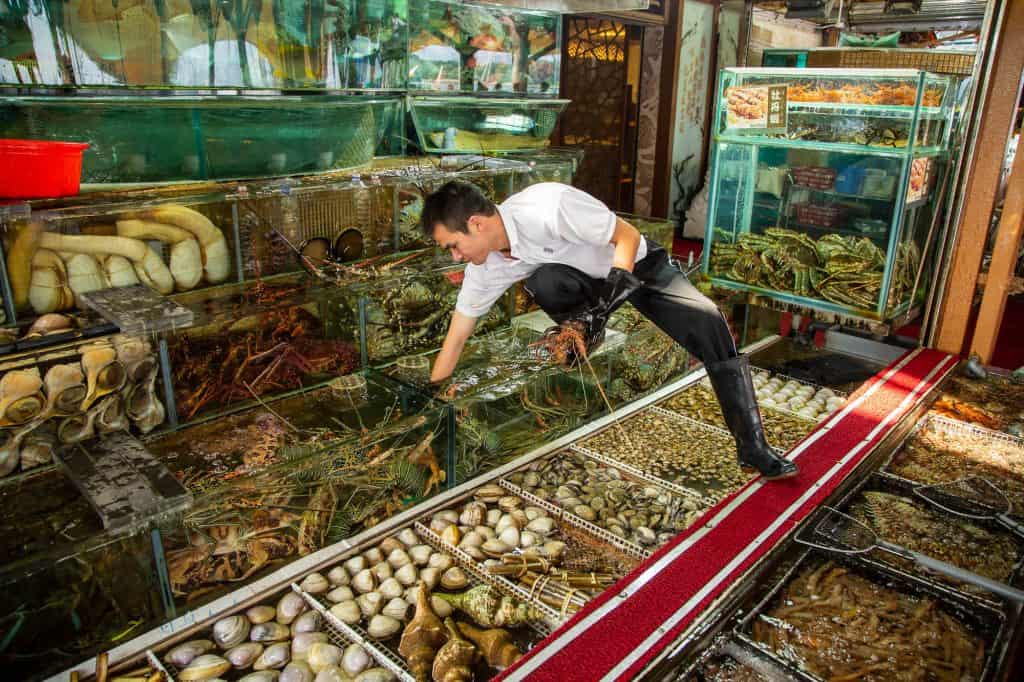 Seafood Market in Sai Kung, Hong Kong