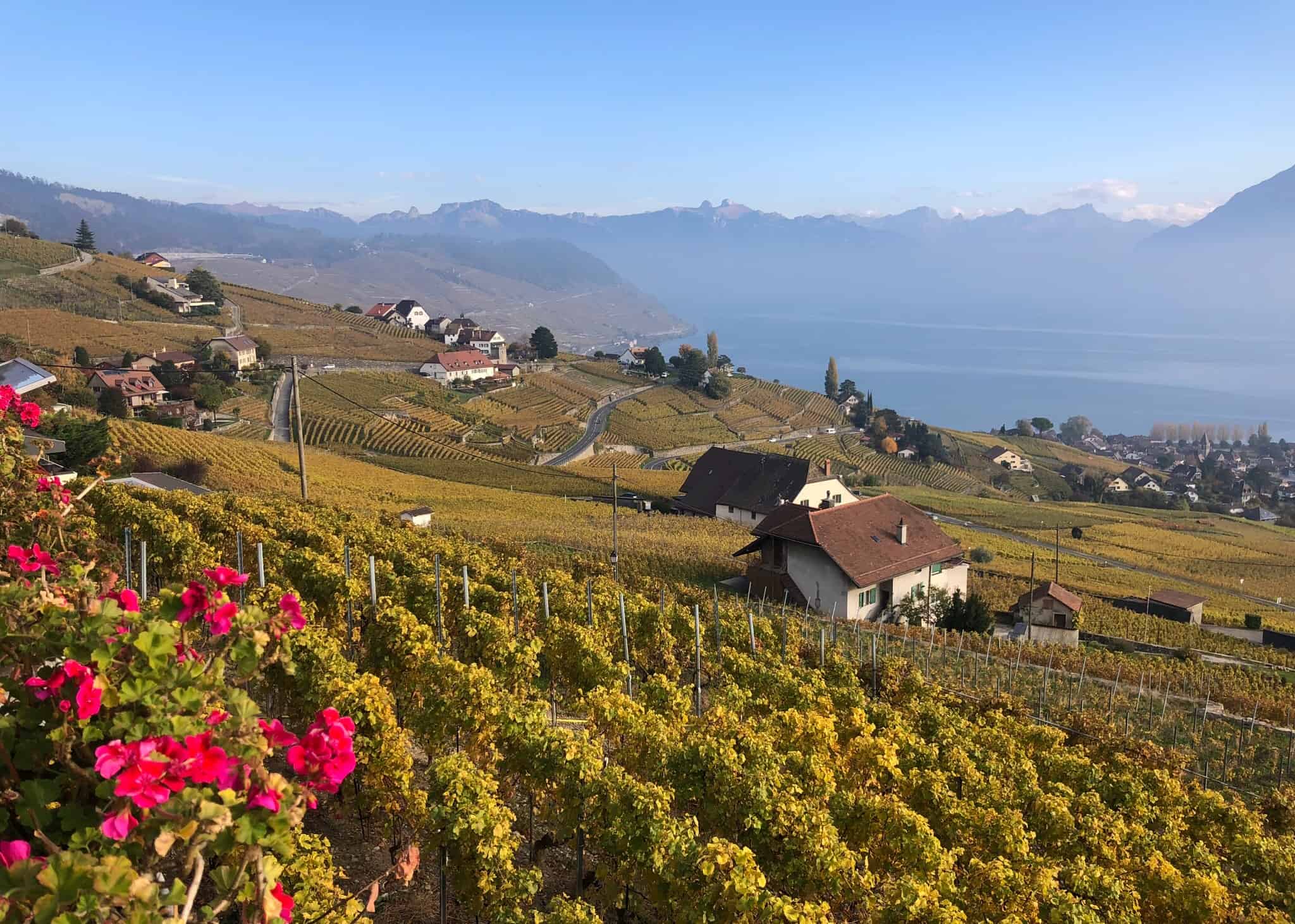 One of the best things to do in Lausanne is visit the Lavaux Vineyards
