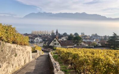 The Best Things To Do In Lausanne -The Perfect City Break For Foodies and Wine Lovers