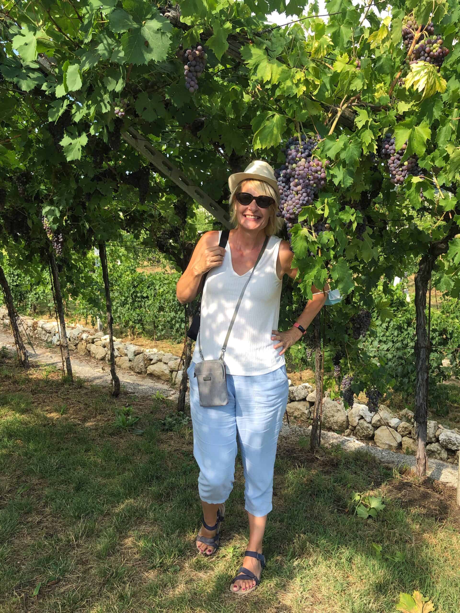 With two days in Verona, you must visit the nearby vineyards 
