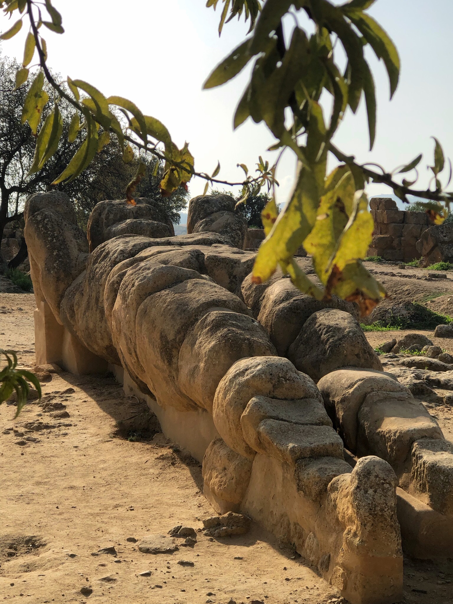 Photo of a giant telamon