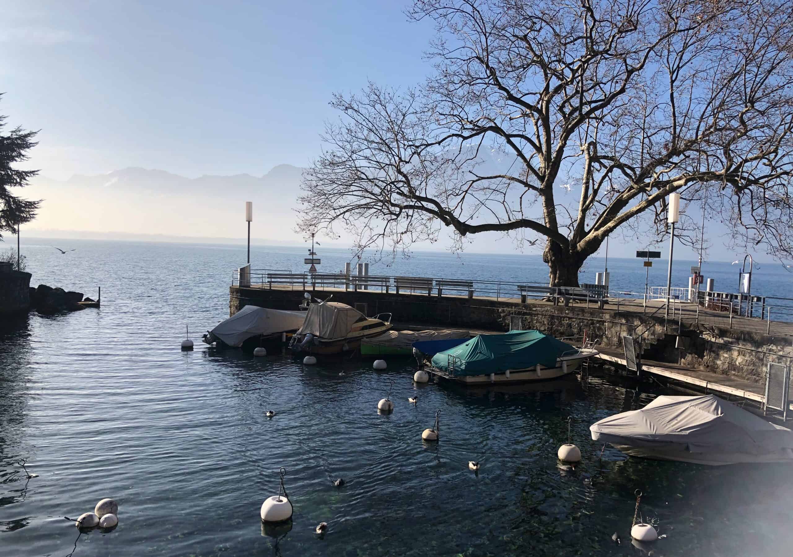 Photo of Lake Geneva and the mountains from the lakefront in Montreux