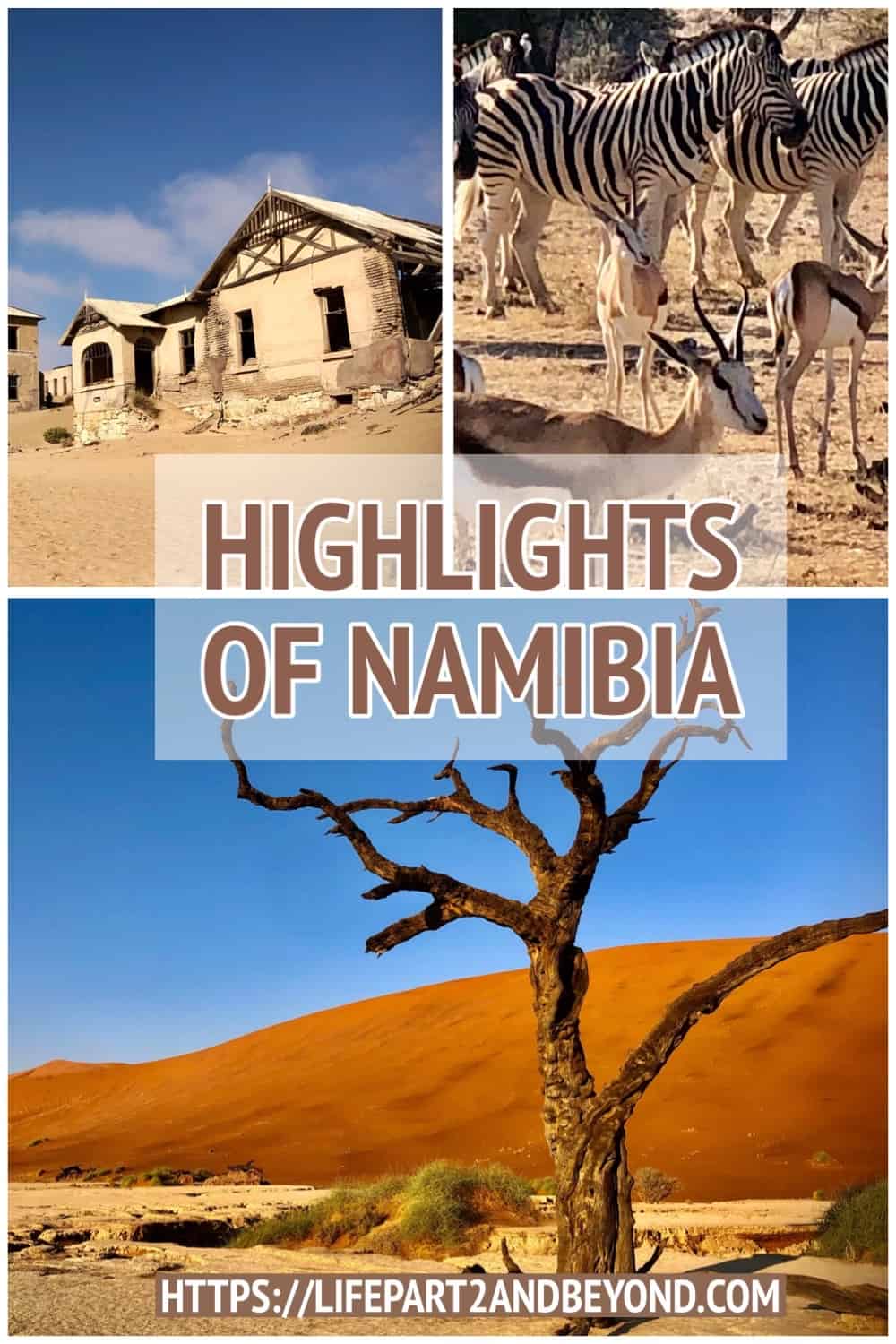 A pin page on Highlights of Namibia 