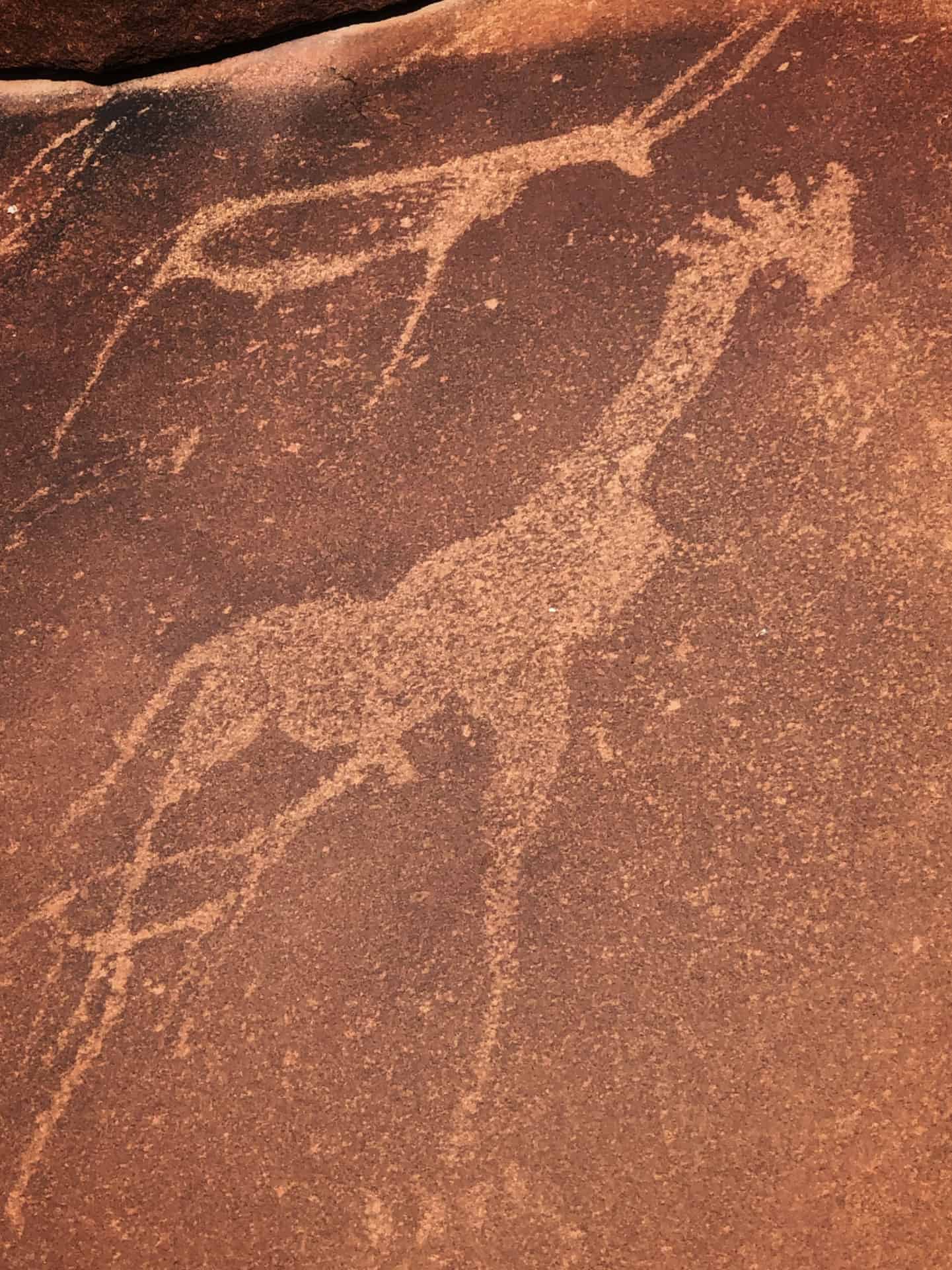 Rock engravings of an antelope and a giraffe