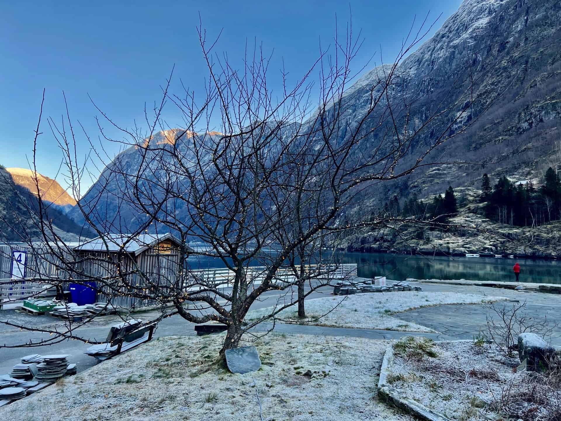 Gudvangen - where you take the fjord cruise. Snow covered grass, trees and benches and an icy fjord