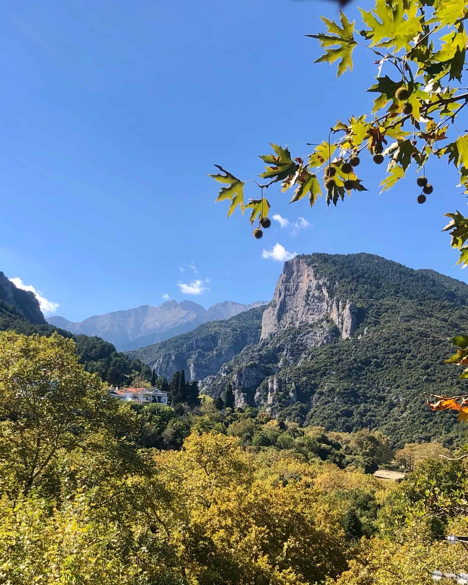 Trees and Mount Olympus 