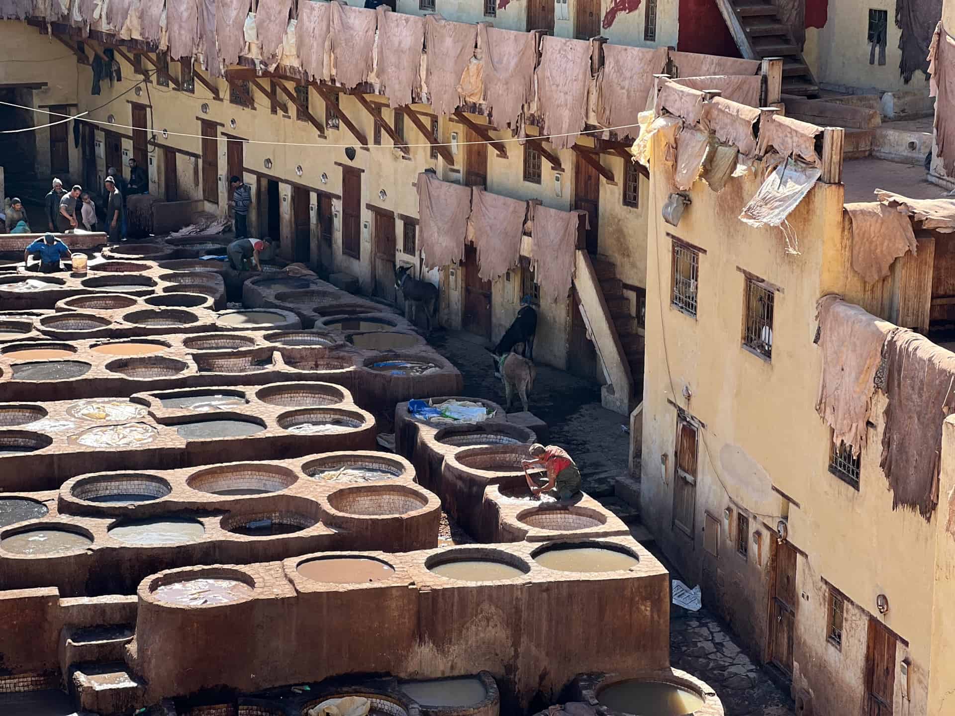 View Of The Tannery with vats of dye and animals skins drying
