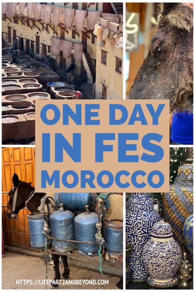 Pin post for one day in Fes. 