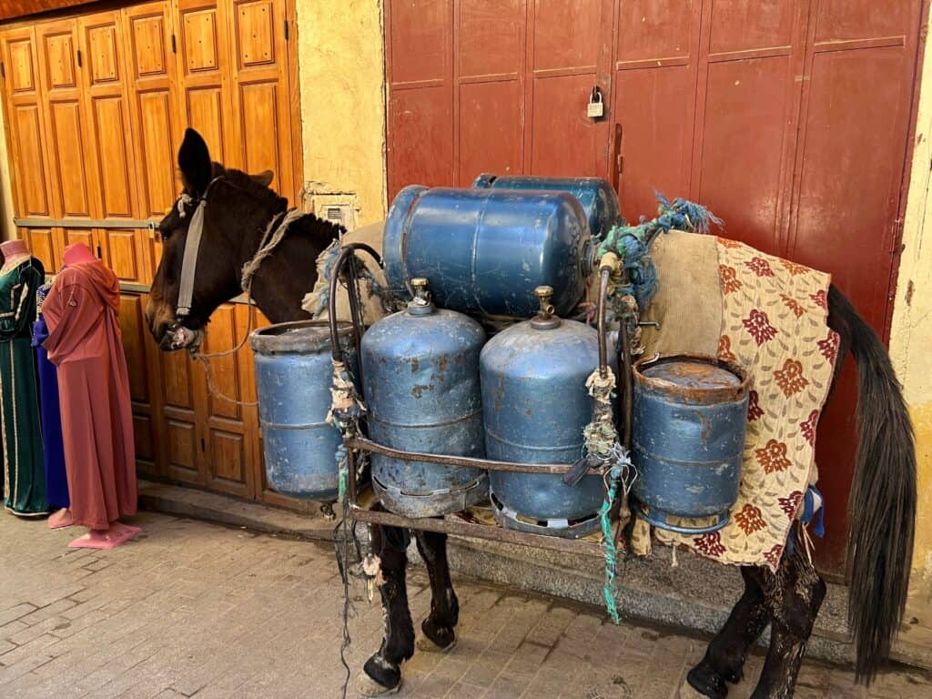 A donkey laden with gas cylinders inside Fes Medina 