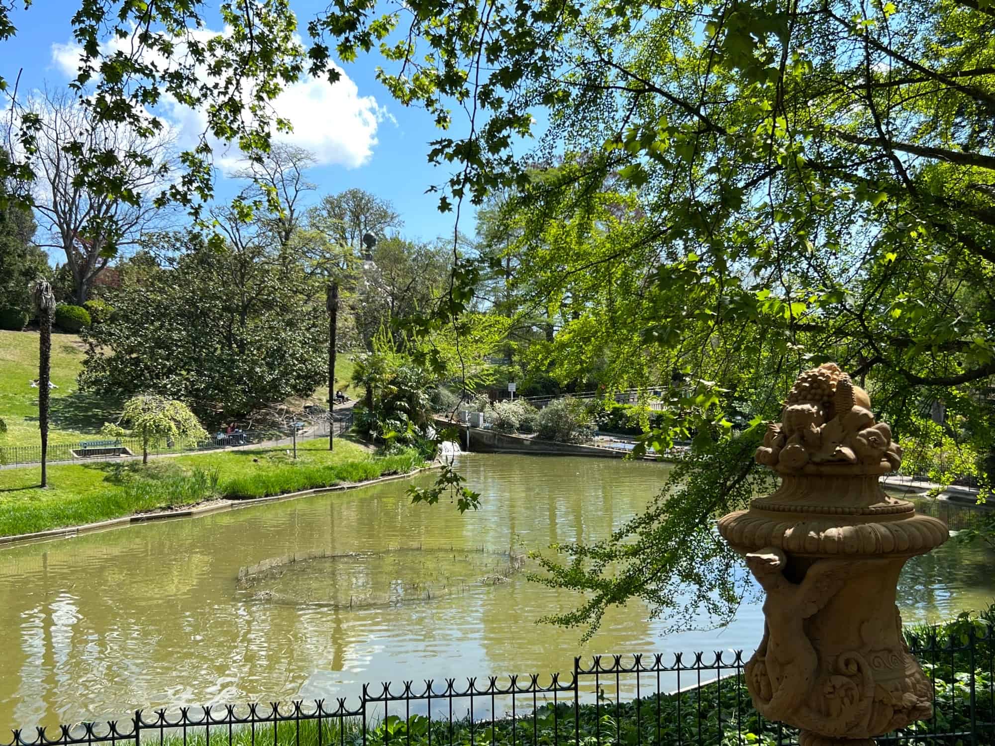 Trees and a small lake 
